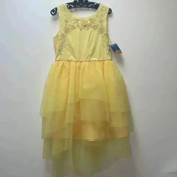 Beauty and the Beast Dress - Picture 4 of 8